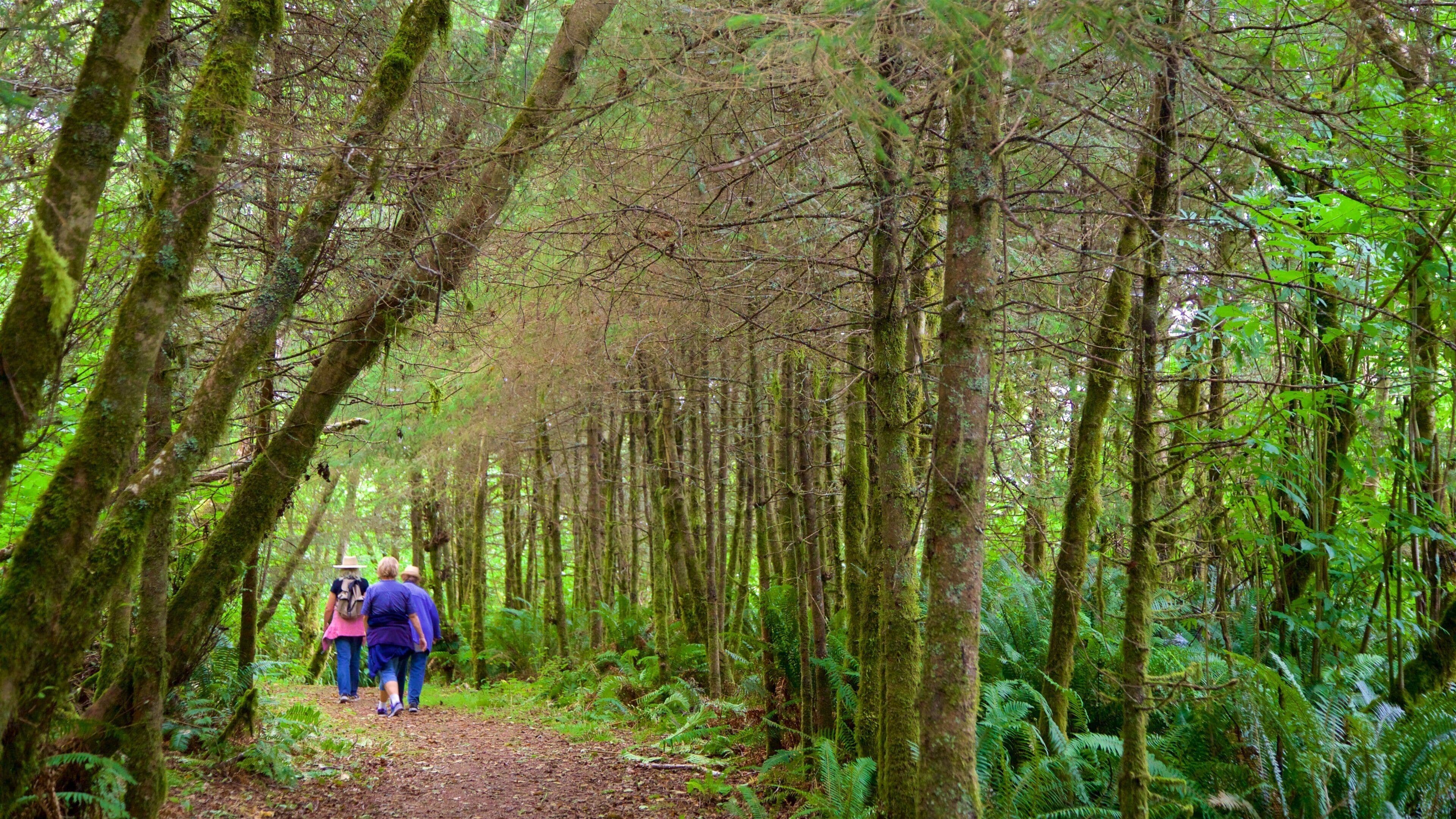 Yurok Loop Trailhead