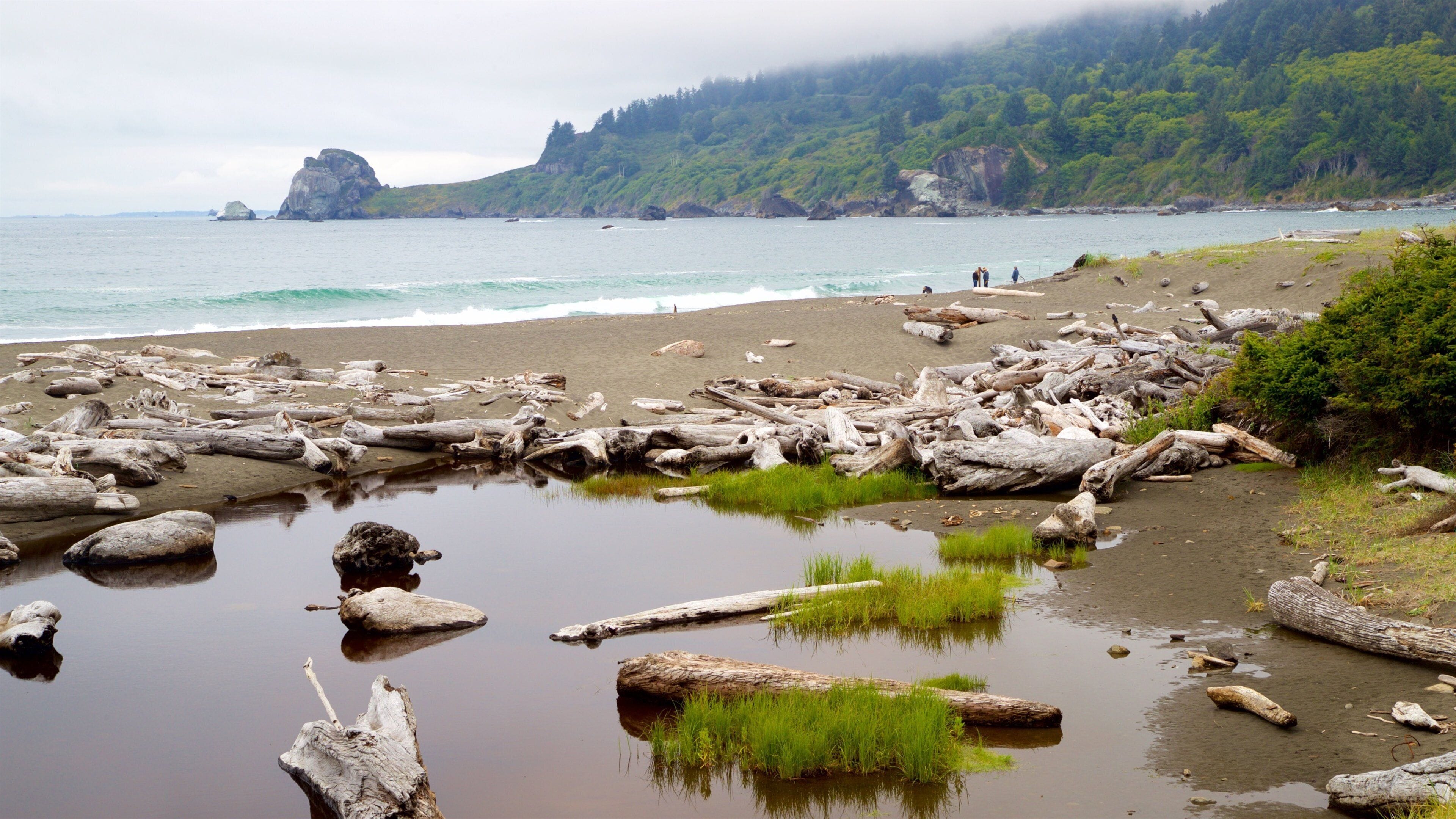 Redwood National and State Parks