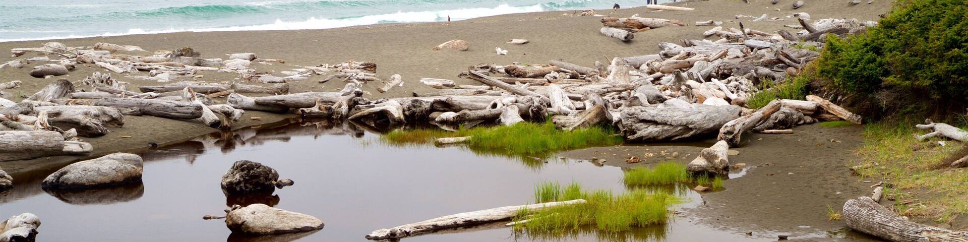 Redwood National and State Parks