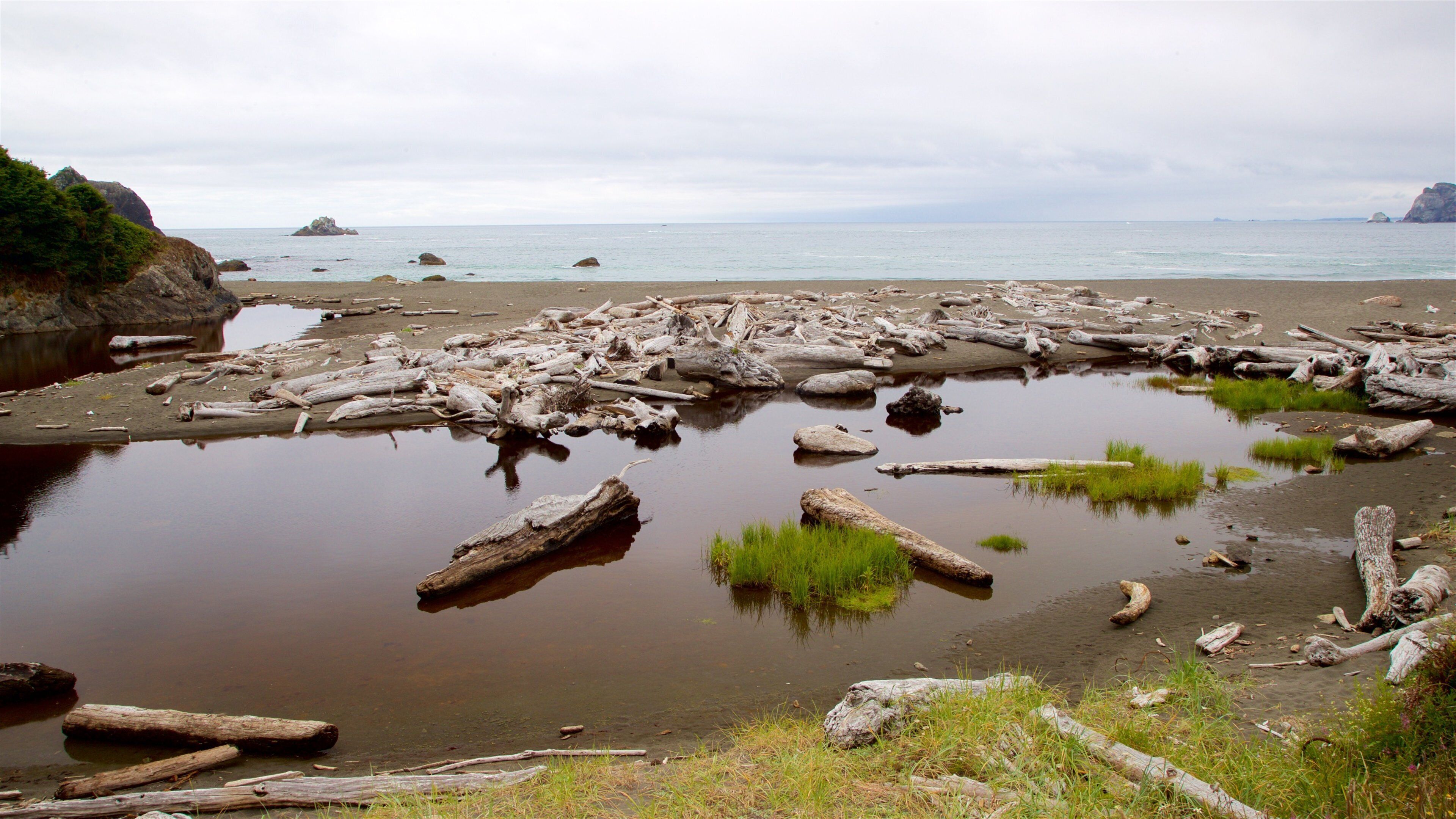 Yurok Loop Trailhead