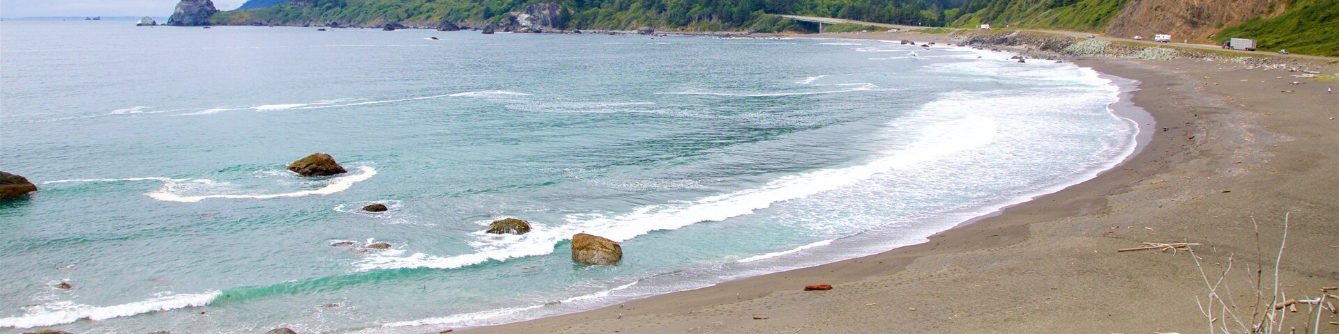 Redwood National and State Parks