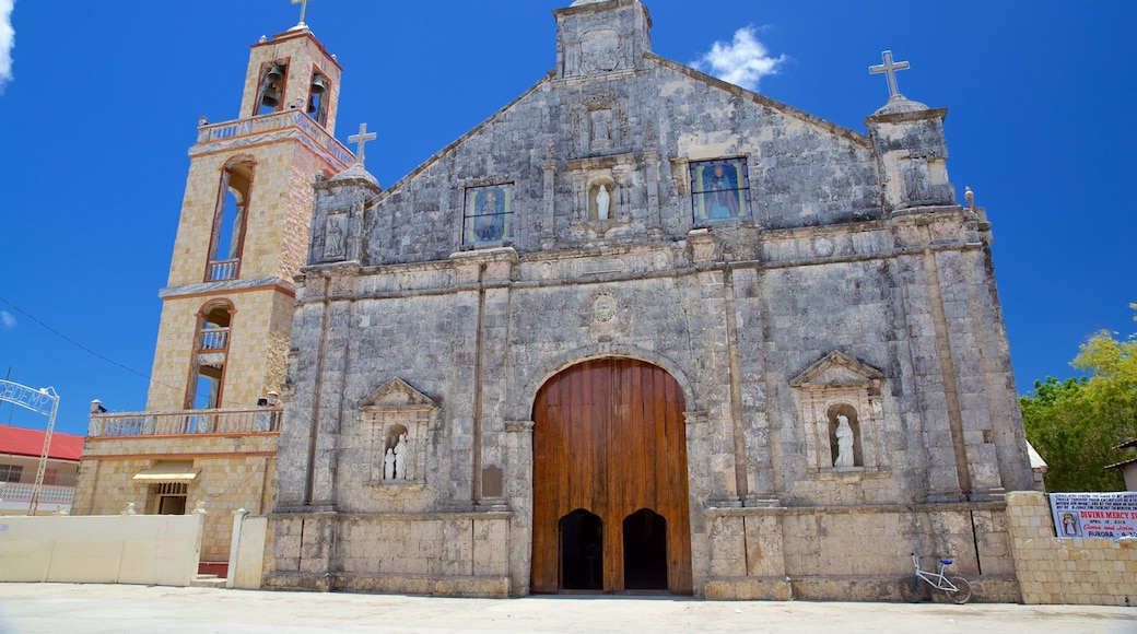 Cebu Island which includes a church or cathedral, religious aspects and heritage architecture