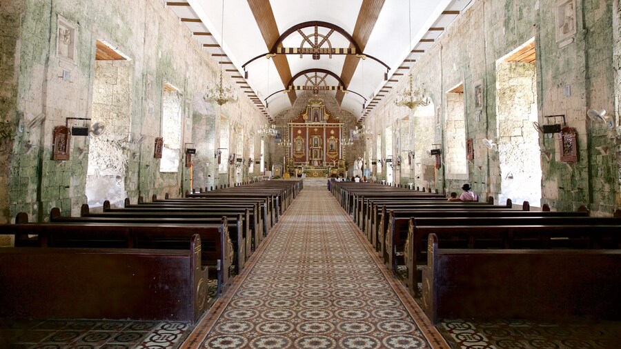 Cebu Island which includes interior views, a church or cathedral and religious elements