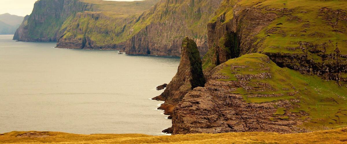 A coastal cliff with a steep drop into the sea, grassy terrain, and a cloudy sky.