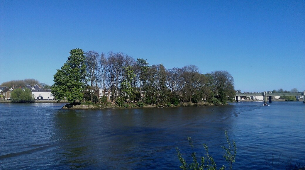 Oliver's Island in the River Thames near to Kew.