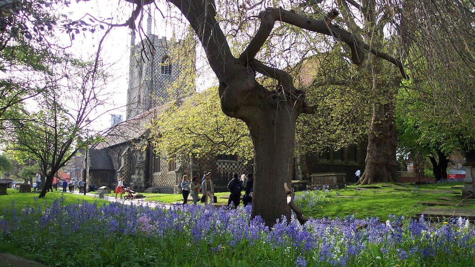 Reading Minster Church and its church yard and bluebells. For more information, see Reading Minster.