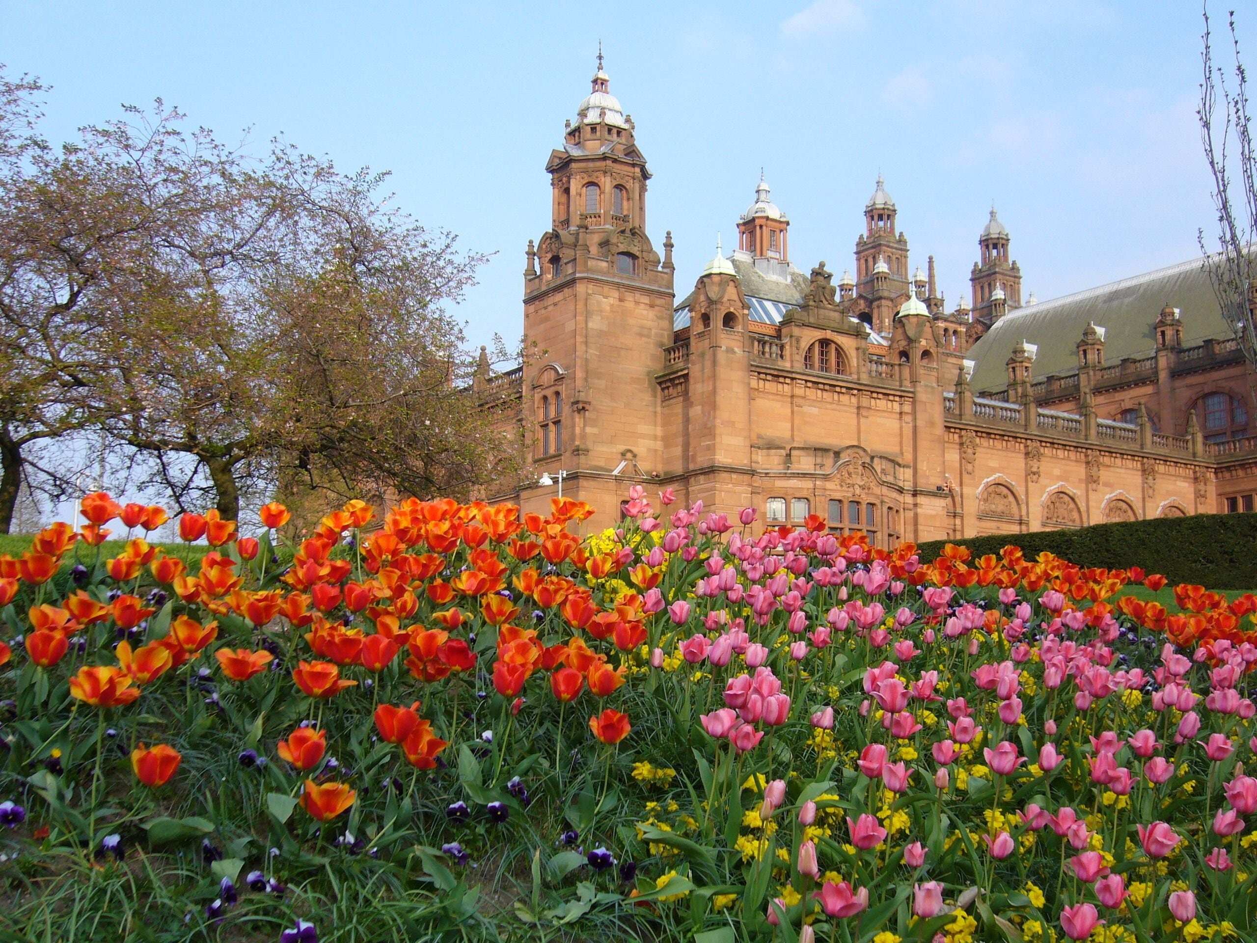 Kelvingrove with tulips