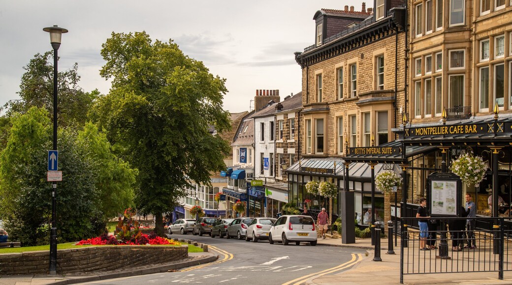 Harrogate City Centre