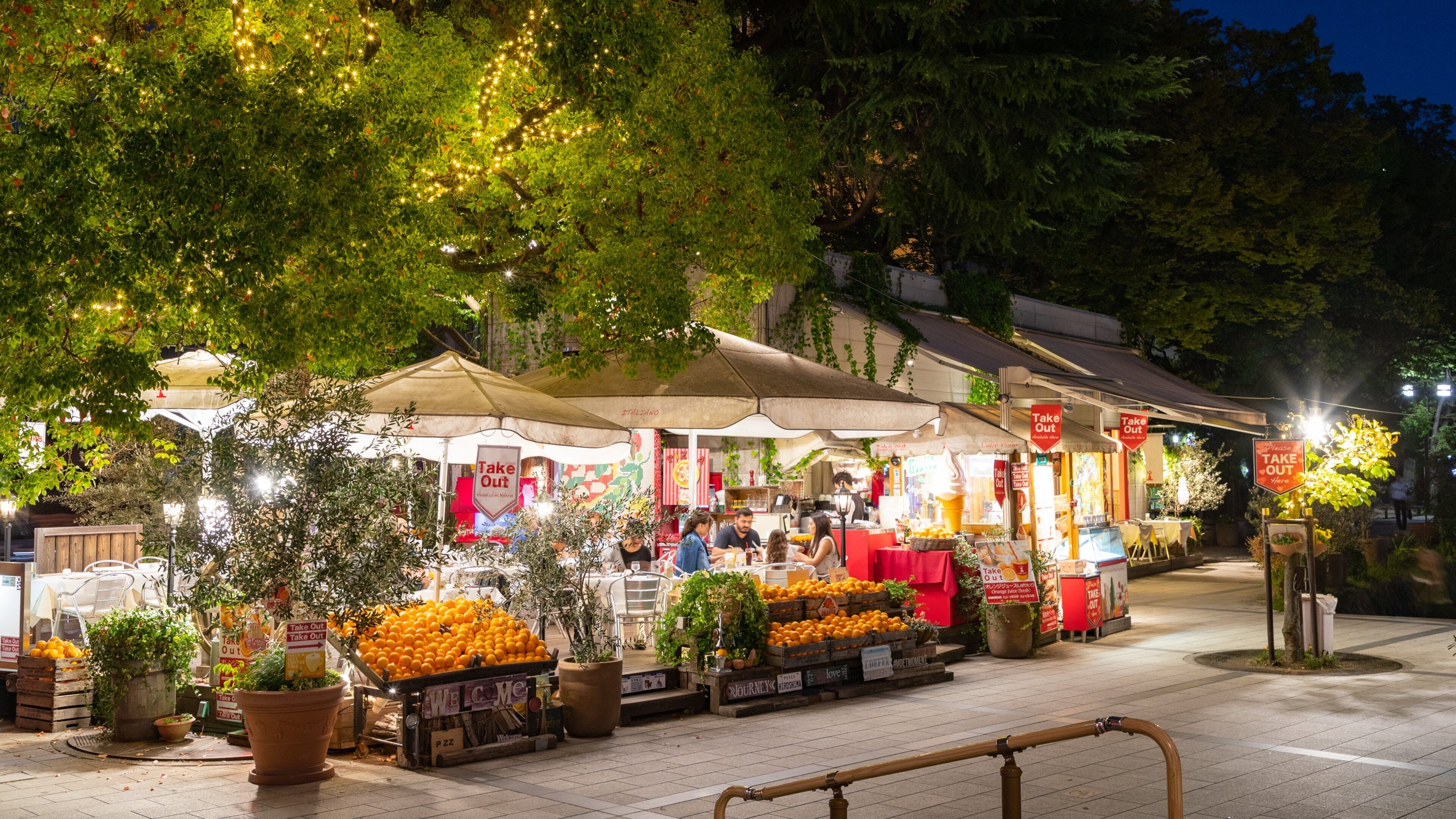 Hiroshima City Centre