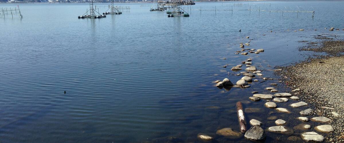 湖畔公園より望む諏訪湖