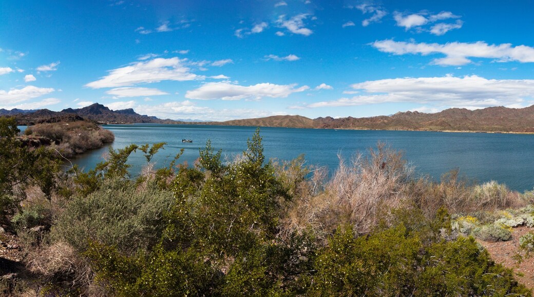 레이크 하바수 주립공원