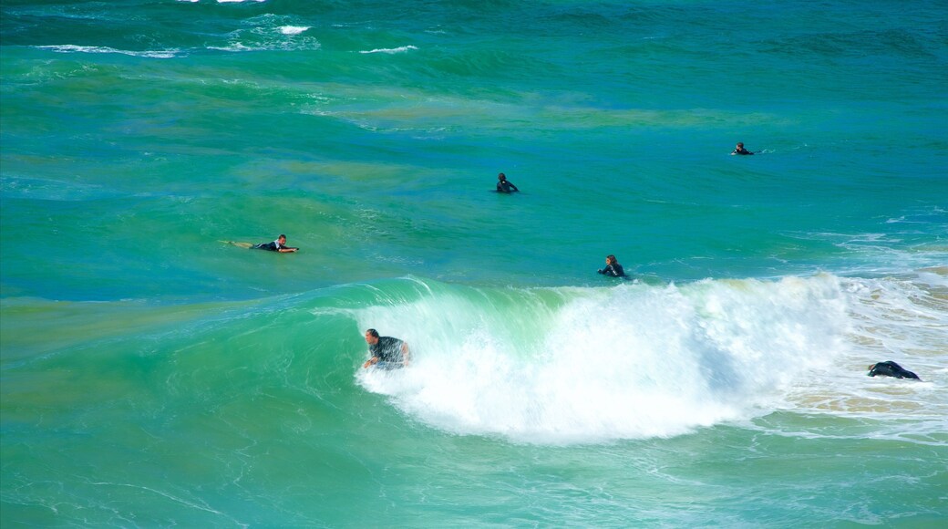 Port Macquarie que incluye surf, una bahía o puerto y olas