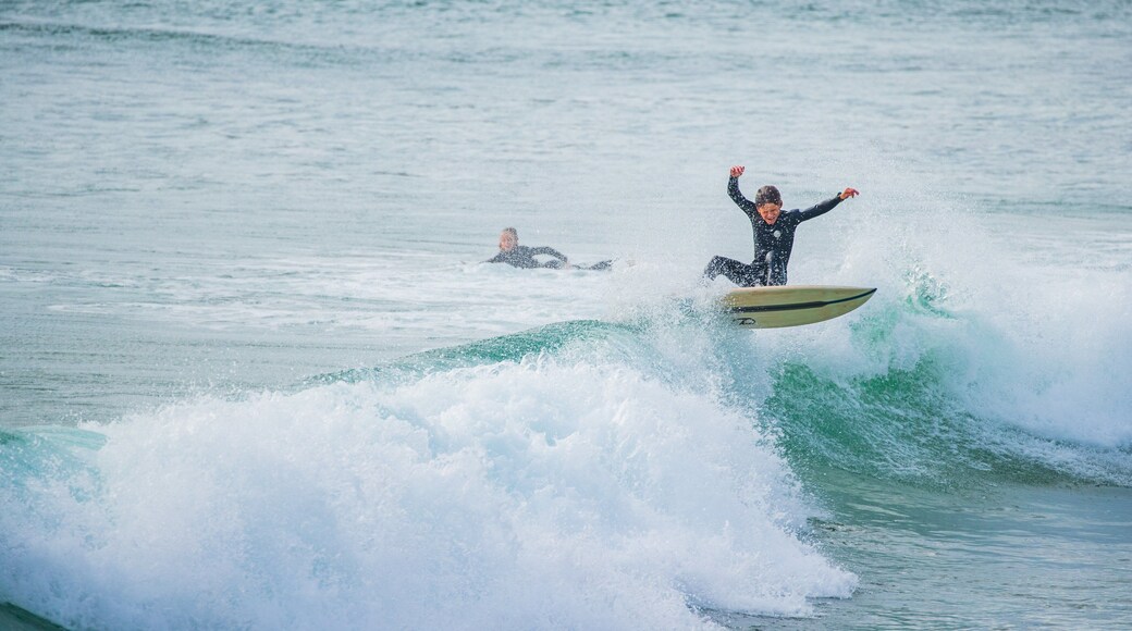 Town Beach which includes surfing, general coastal views and waves