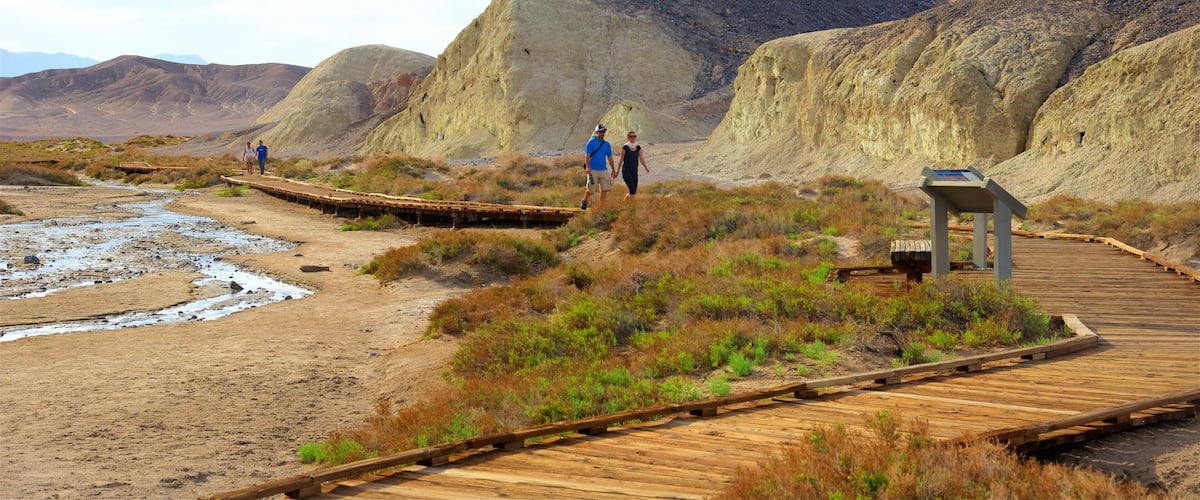 Salt Creek Trailhead