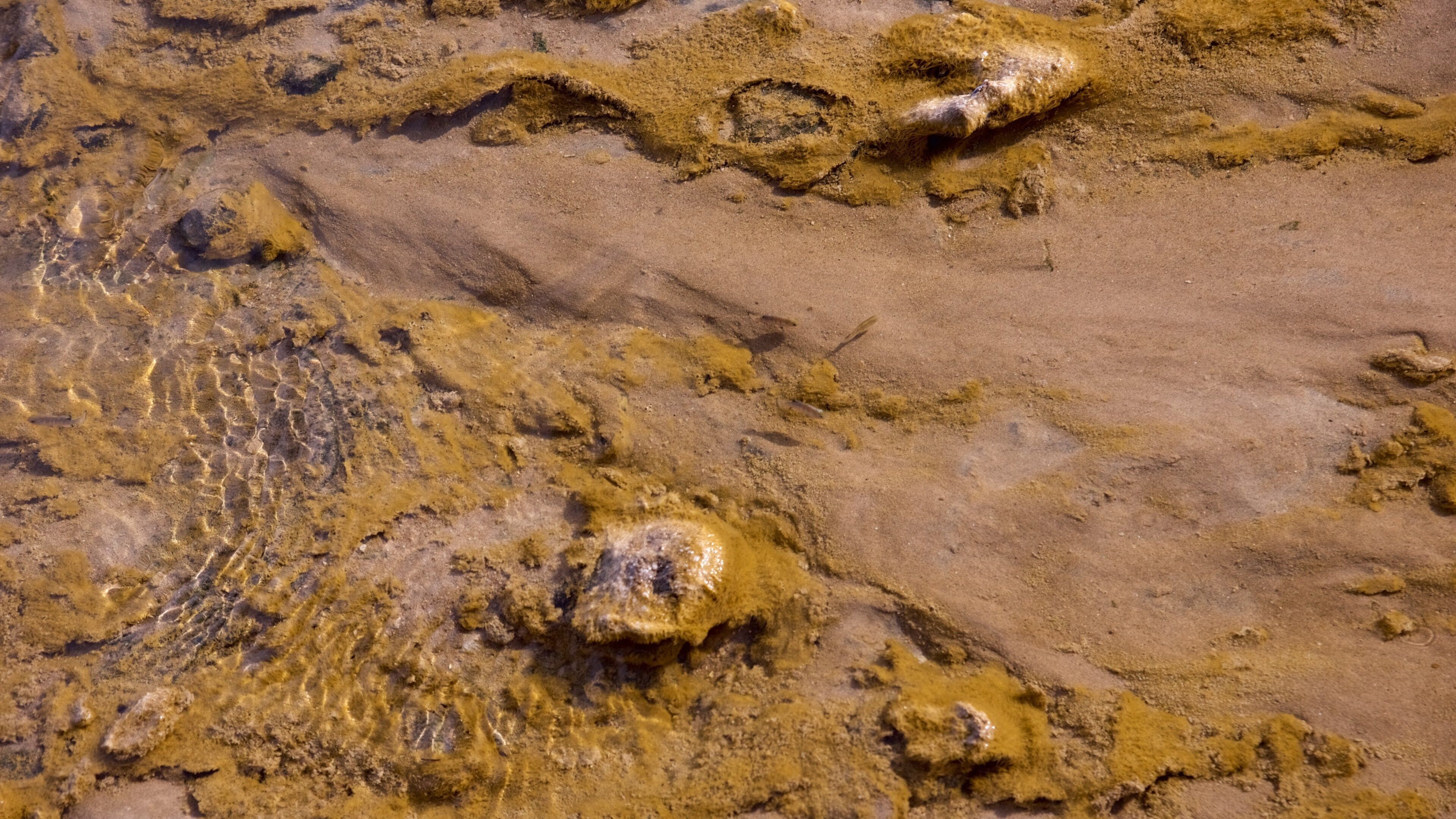 Salt Creek Trailhead