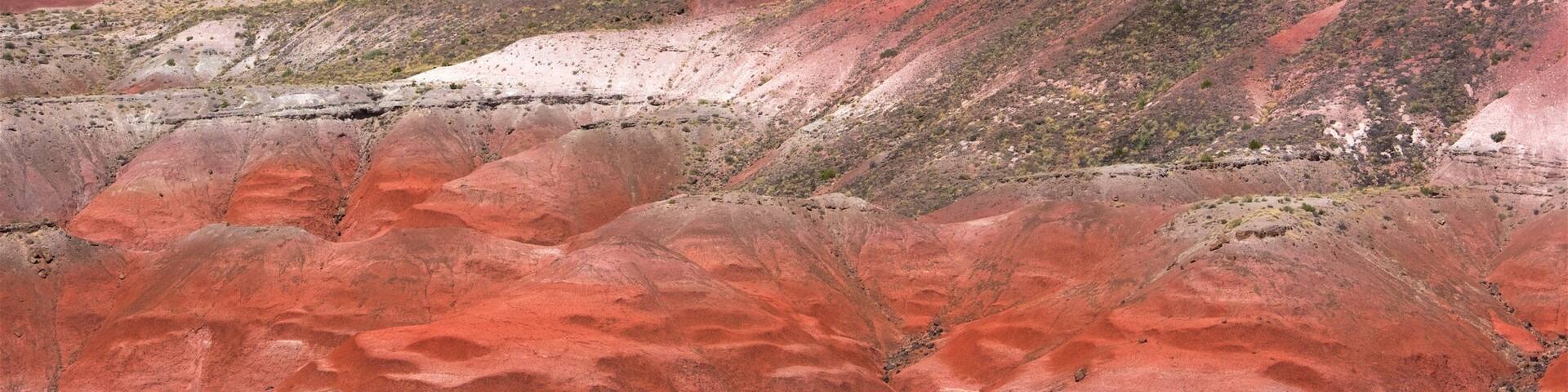 A vast landscape with red and pink sedimentary rock formations, a distant mountain, and sparse vegetation.