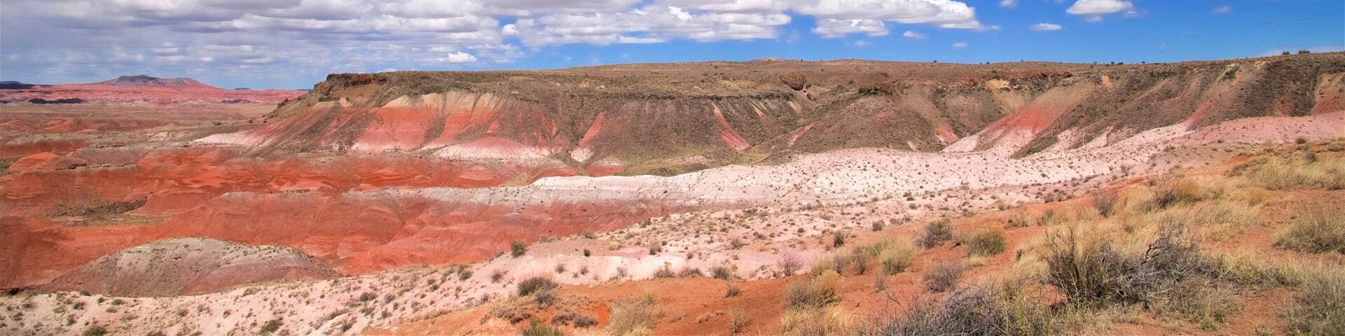 Petrified Forest National Park
