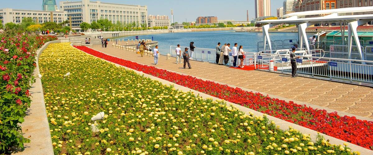 Tianjin featuring street scenes, wildflowers and flowers