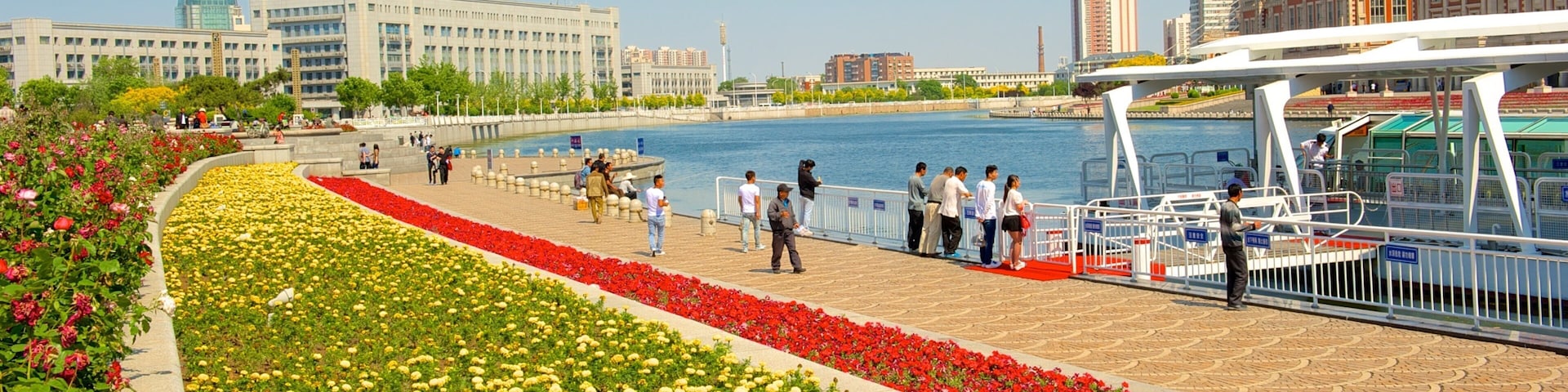 Tianjin showing wildflowers, street scenes and flowers