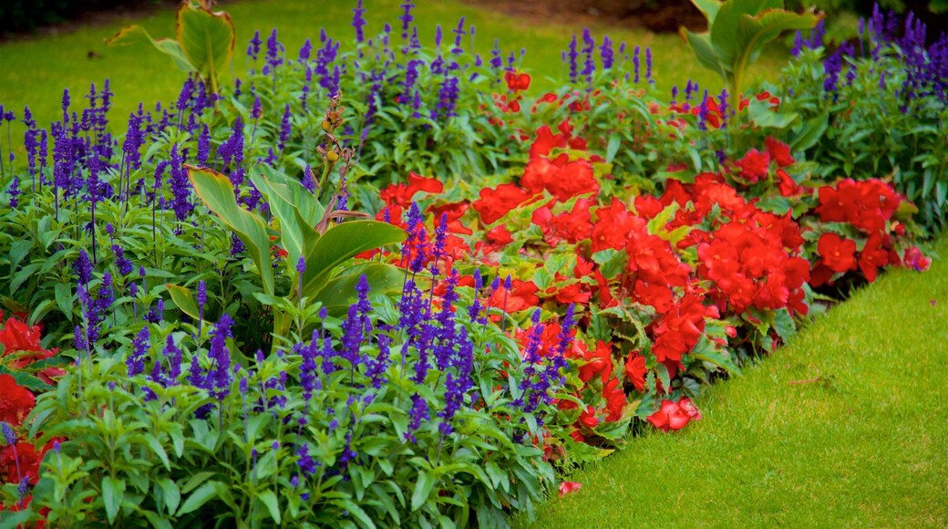 Walton Hall and Gardens featuring a park and wildflowers