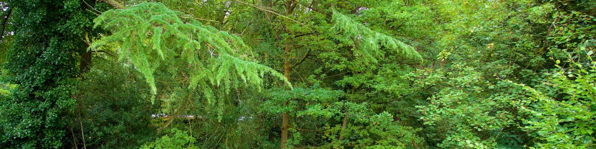 Warrington featuring a river or creek and a garden as well as a couple