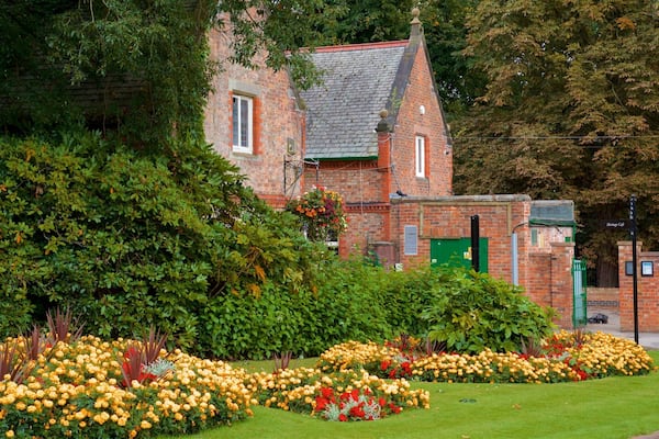 Warrington montrant fleurs, parc et fleurs sauvages