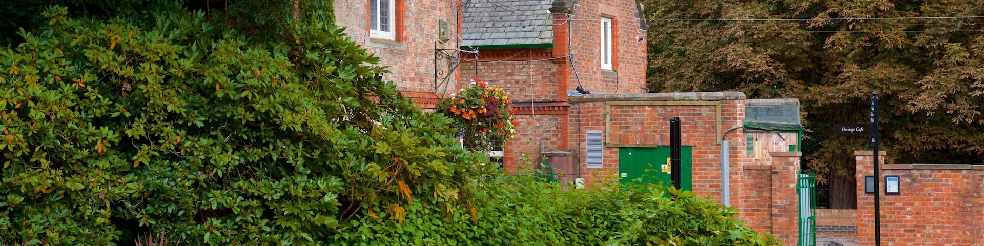 Warrington caracterizando um jardim, flores e flores silvestres