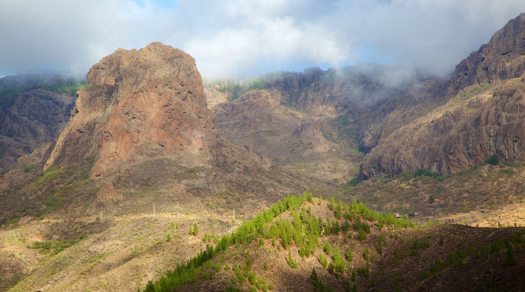 Gran Canaria showing mountains, tranquil scenes and mist or fog