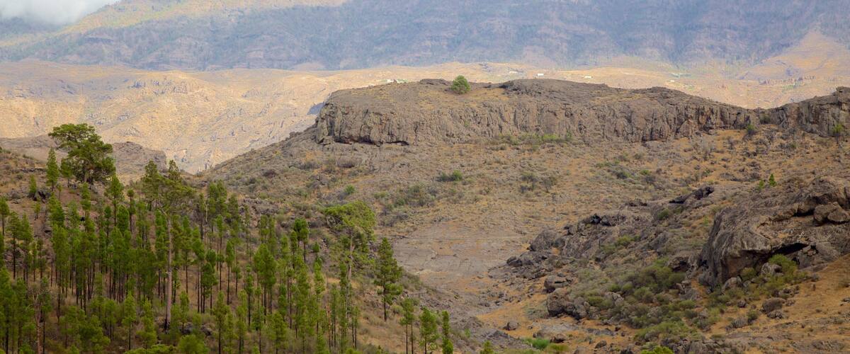 ๊ทธ๋ ์นด๋๋ฆฌ์ ์ด ํฌํจ ํ์ ํ ํ๊ฒฝ ๊ณผ ์๊ฐ