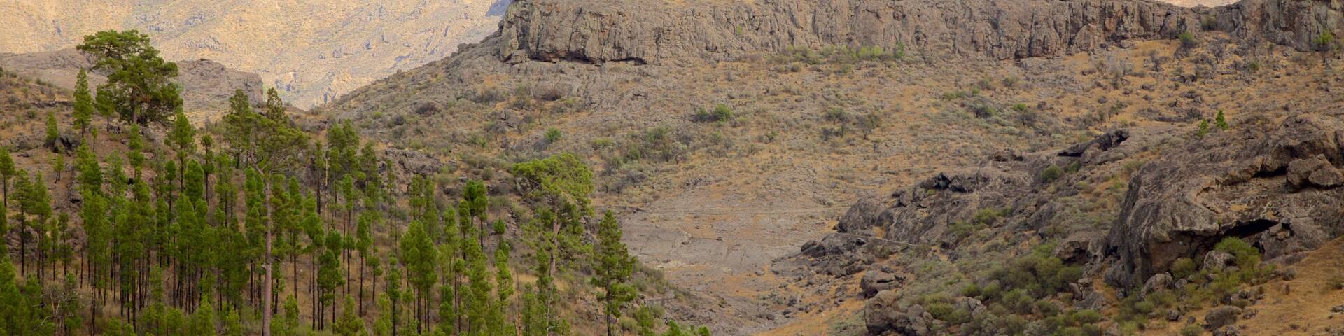 Gran Canaria featuring tranquil scenes and mist or fog