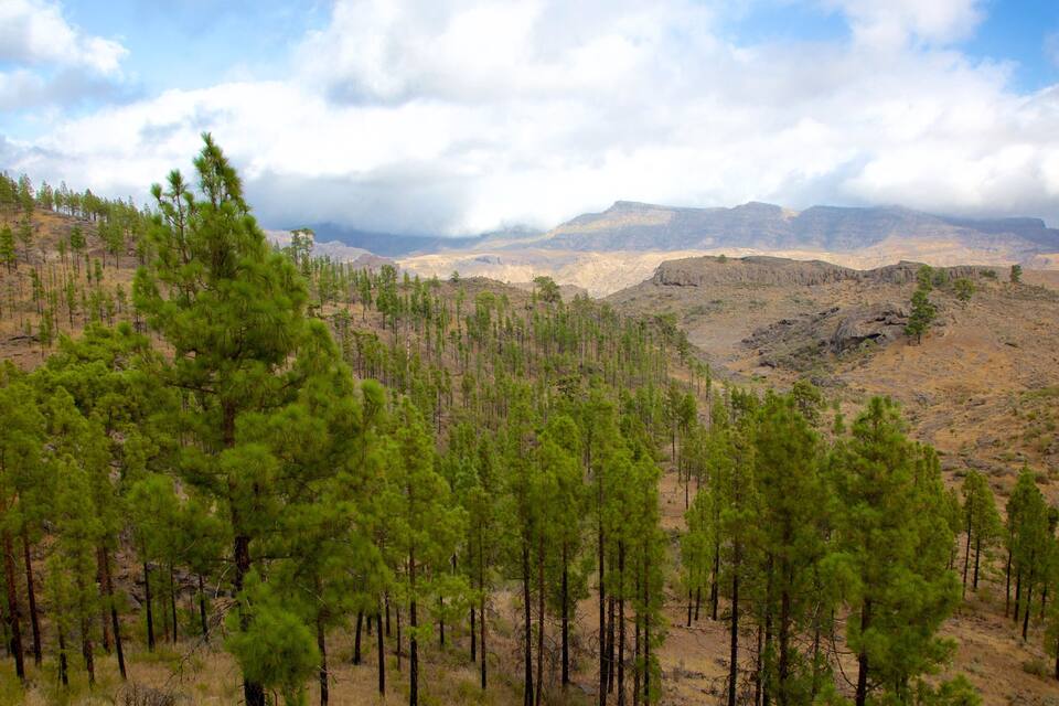 A mountainous landscape with dense pine forests and rocky terrain under a partly cloudy sky.