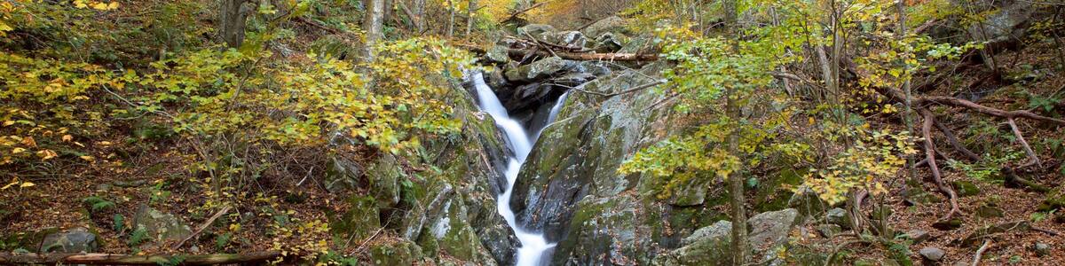 Shenandoah National Park which includes a waterfall, a river or creek and forest scenes