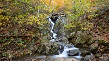 Uma cachoeira em uma área arborizada com folhagem outonal.