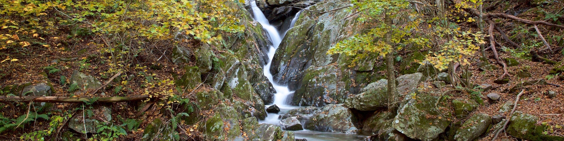 Una cascada en una zona boscosa con follaje otoñal.
