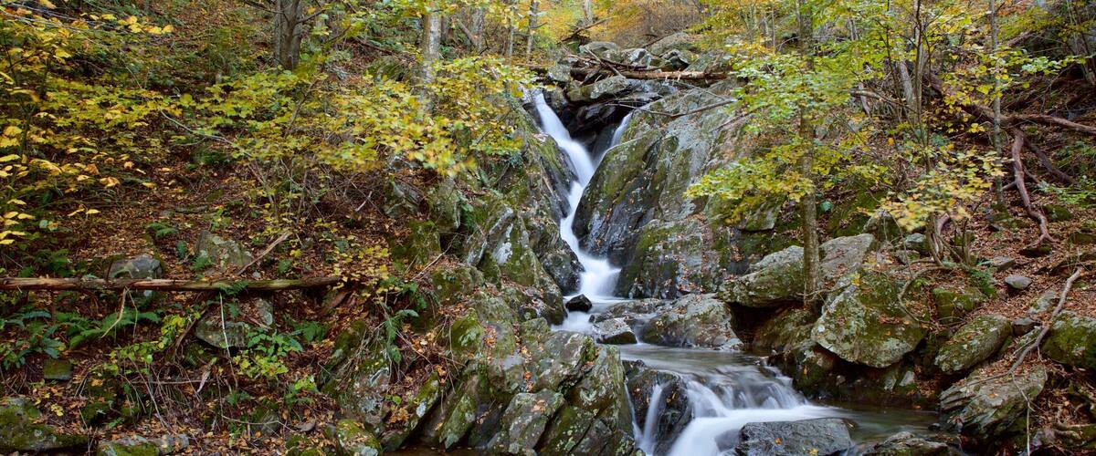 A waterfall in a forested area with autumn foliage.