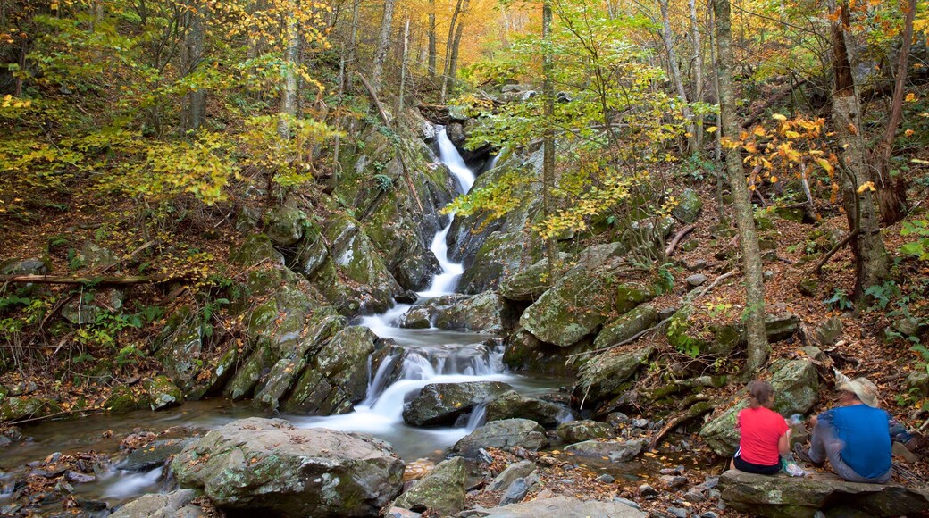 Shenandoah National Park showing a river or creek and forests as well as a couple