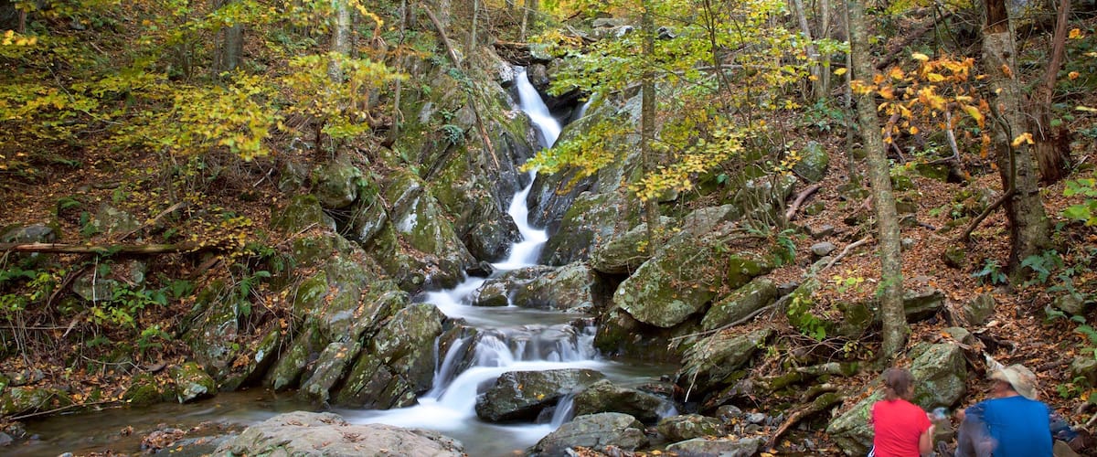 Shenandoah National Park featuring forests and a river or creek as well as a couple