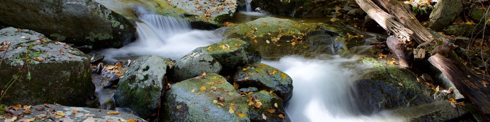 Dark Hollow Falls featuring a river or creek