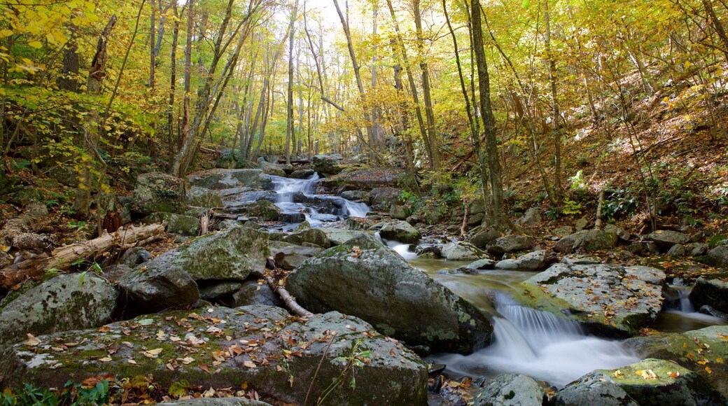 Shenandoah Nationalpark