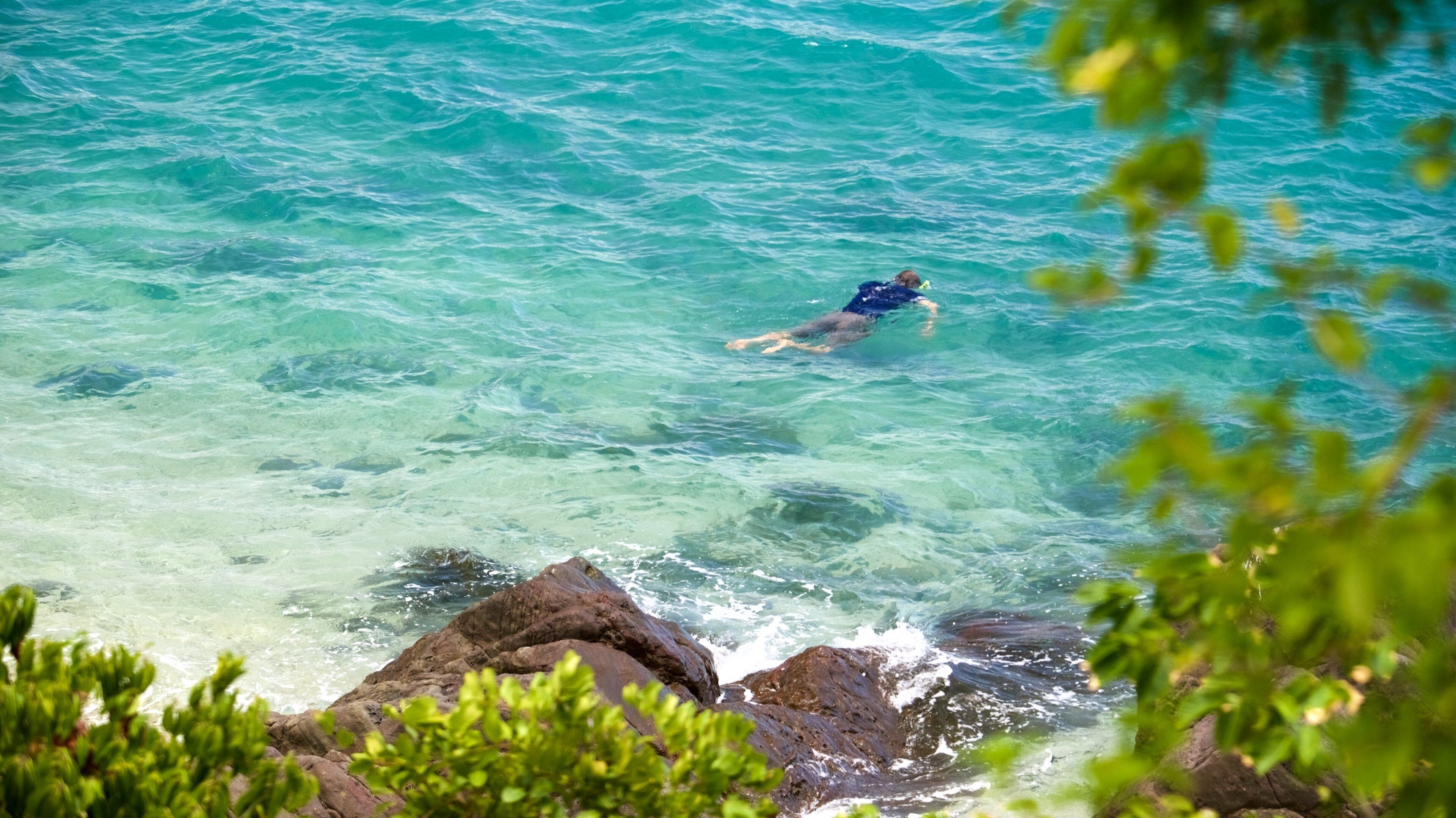 Daydream Island bevat snorkelen en algemene kustgezichten en ook een man