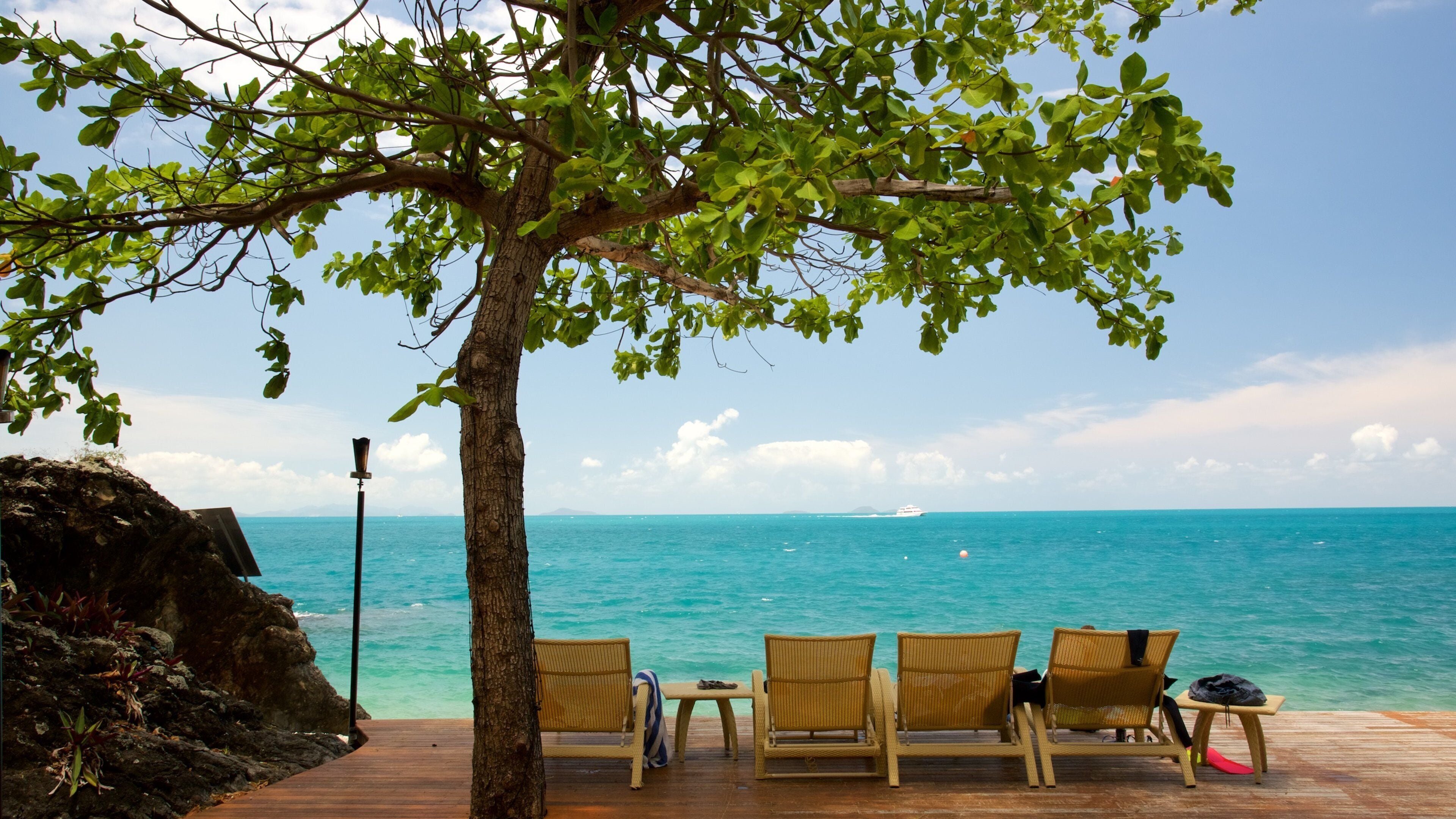 A wooden deck with wicker chairs overlooking turquoise ocean waters, a tree, and a distant cruise ship.
