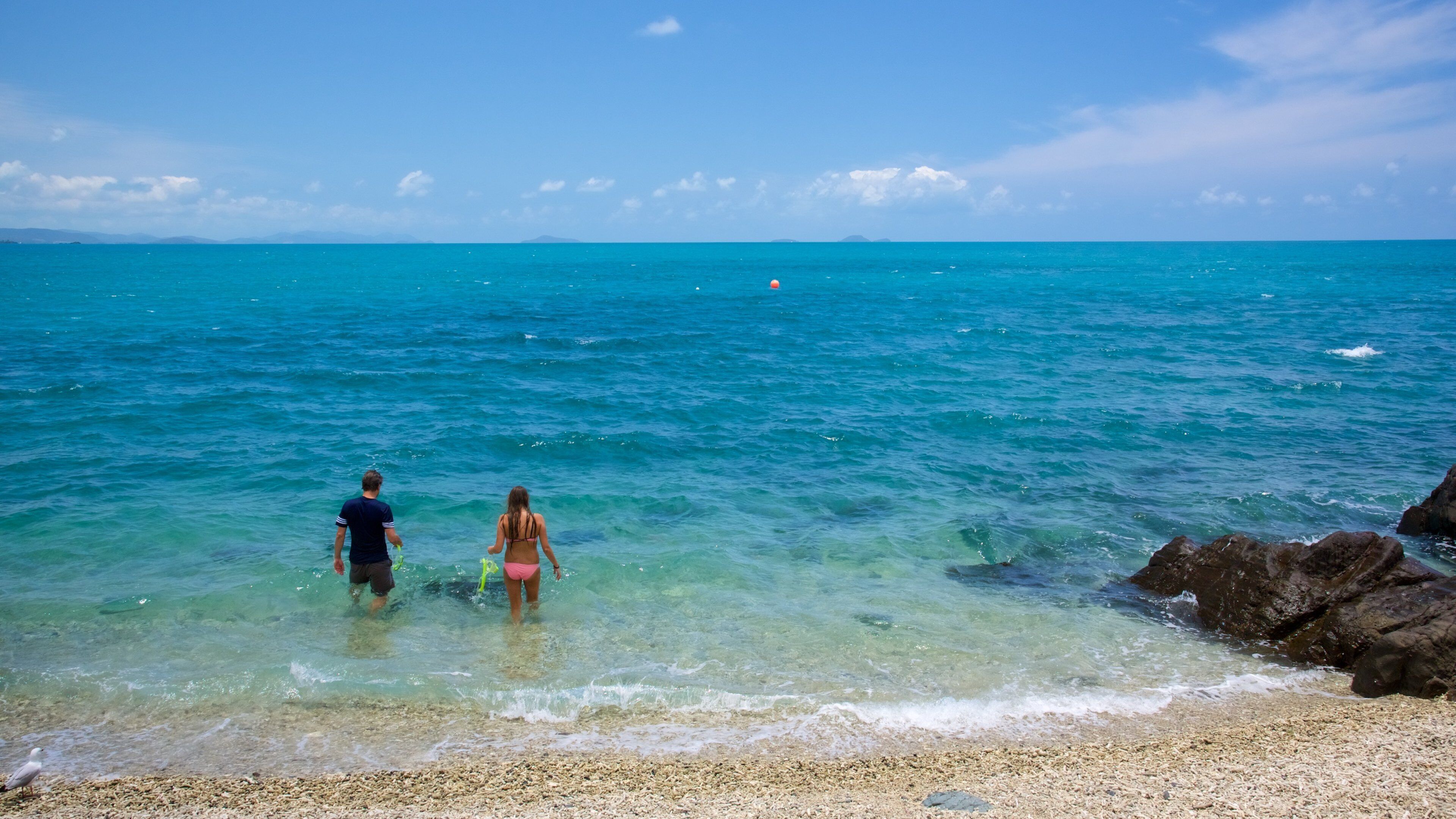 Daydream Island inclusief een kiezelstrand en landschappen en ook een stel