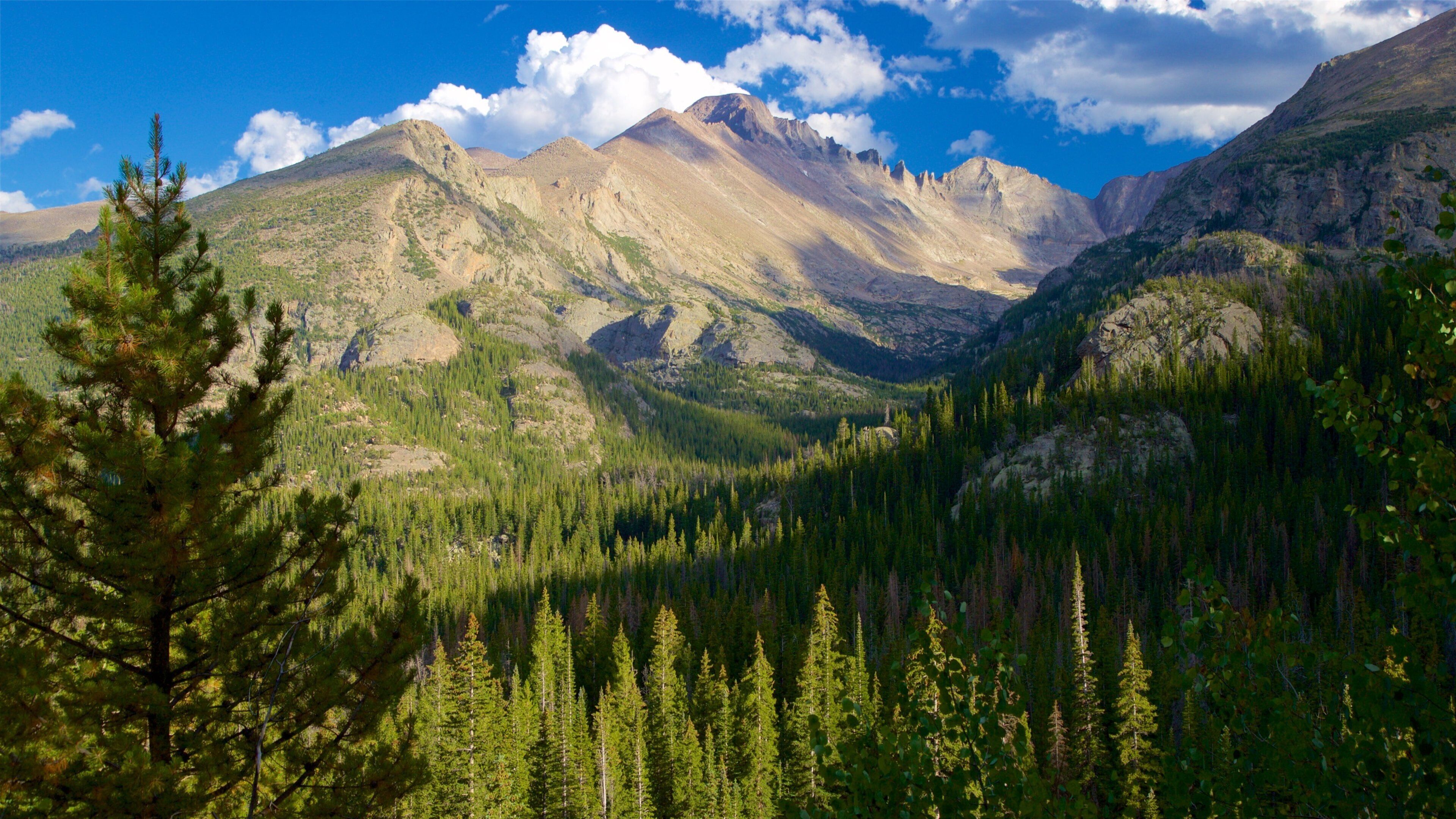 Emerald Lake which includes mountains, forests and tranquil scenes
