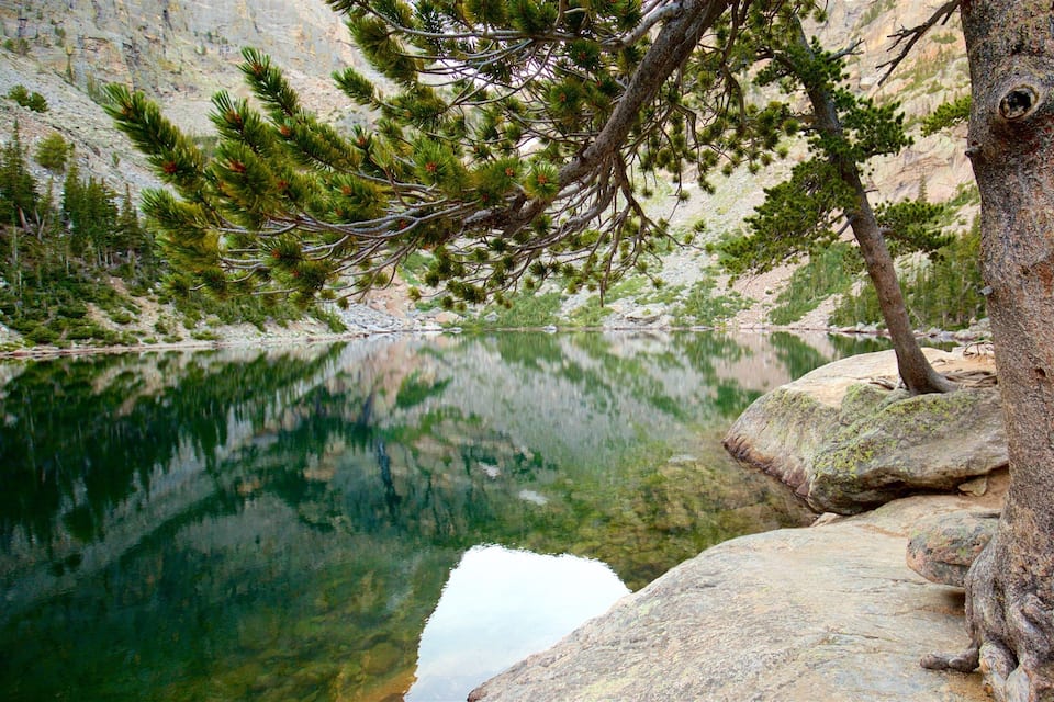 A calm lake surrounded by rocky terrain and pine trees.