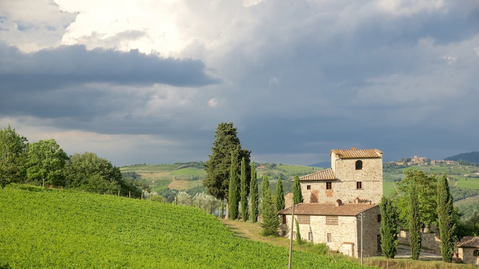 A stone building with a tower, surrounded by green fields and tall trees, under a cloudy sky.