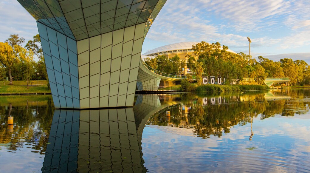 River Torrens Footbridge showing a bridge and a river or creek