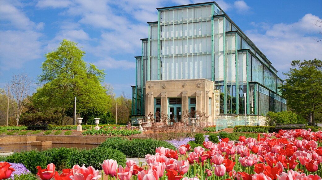Jewel Box showing modern architecture, flowers and a park