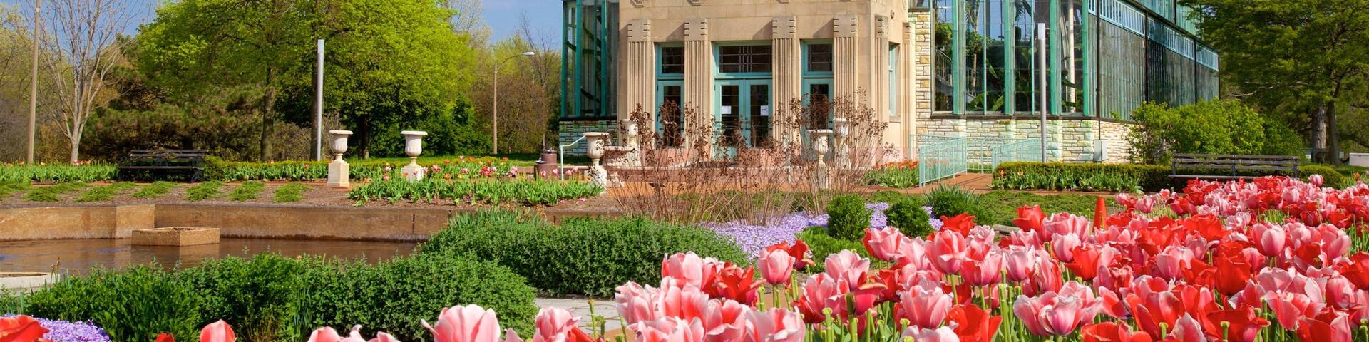 Jewel Box showing modern architecture, flowers and a park