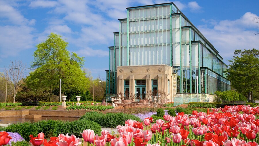 Jewel Box showing modern architecture, flowers and a park