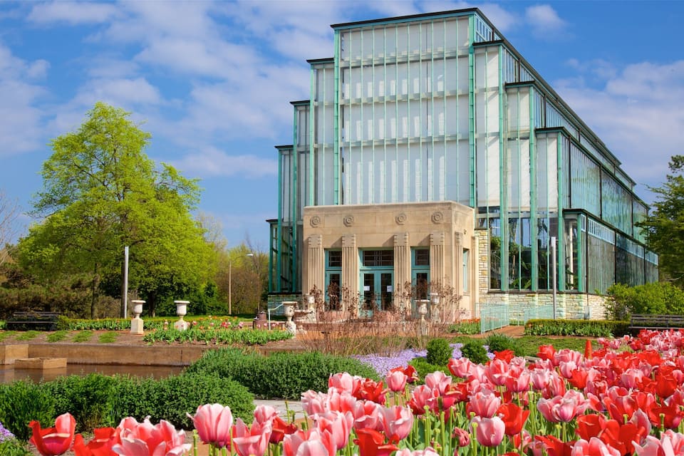 Een modern gebouw met grote glasramen en een tuin vol rode en roze tulpen.